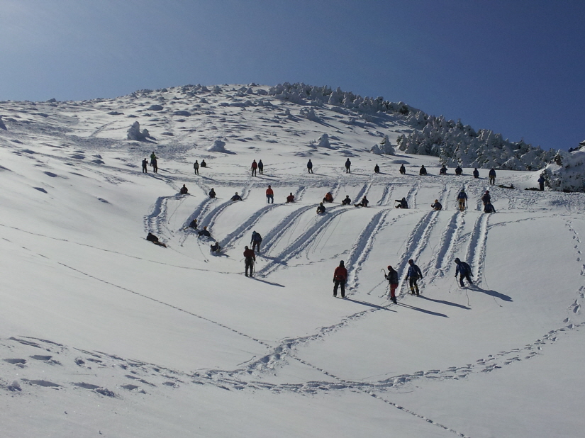 크기변환_사진7_2012년도_전국_산악구조대_동계합동훈련_실시